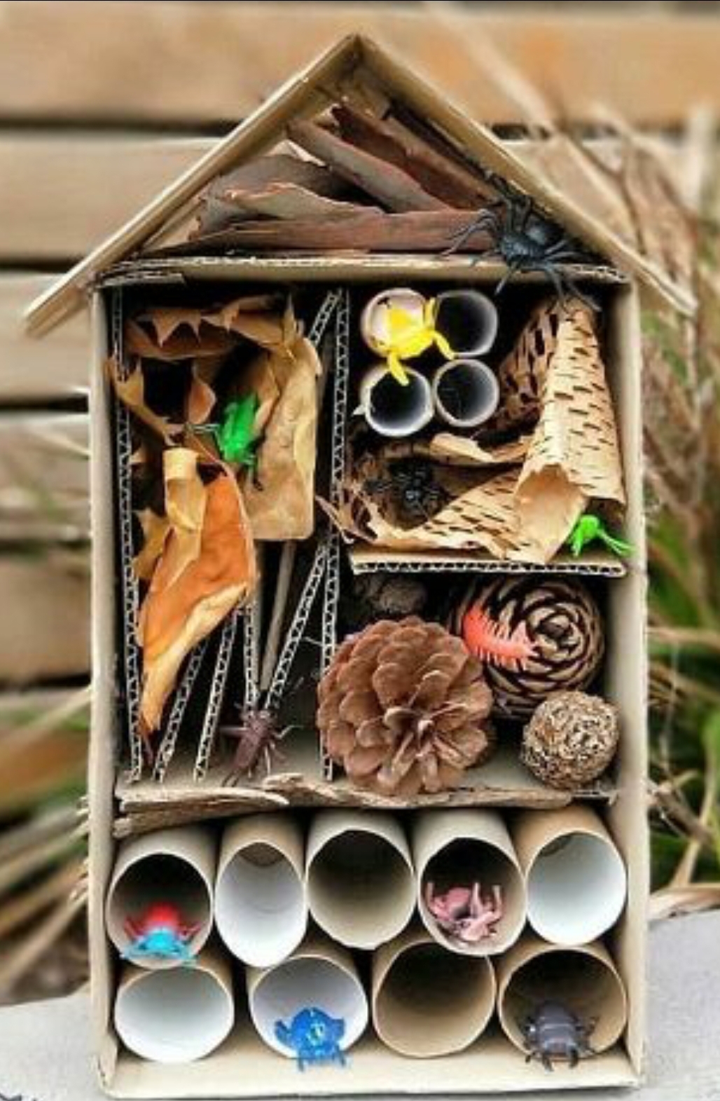 Bug Hotel